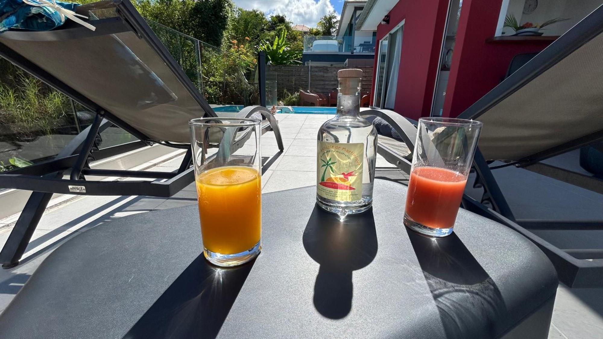 La Villa Jalna Grenadine Deux Chambres Et Piscine Privee Les Trois-Ilets Extérieur photo