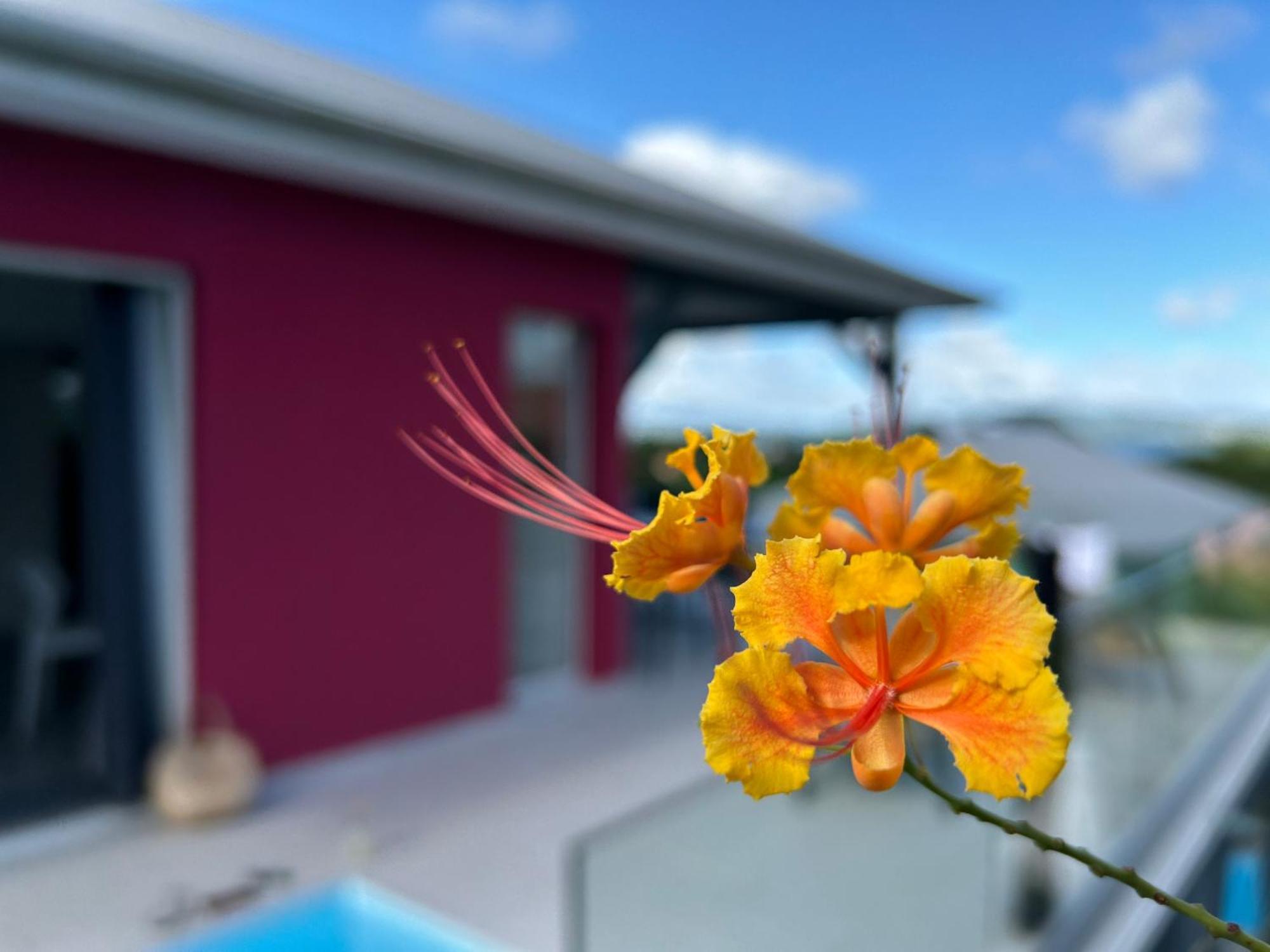 La Villa Jalna Grenadine Deux Chambres Et Piscine Privee Les Trois-Ilets Extérieur photo