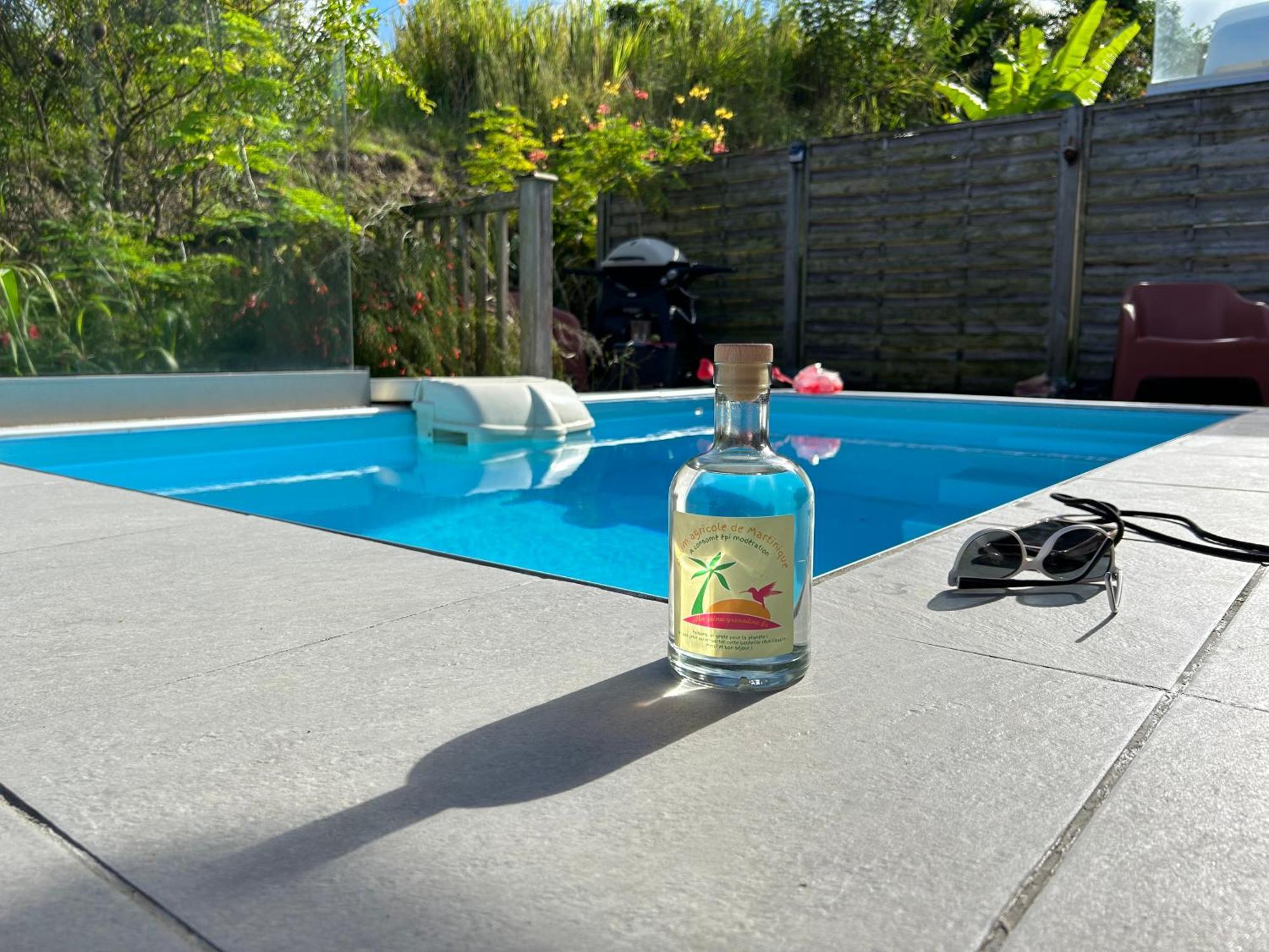 La Villa Jalna Grenadine Deux Chambres Et Piscine Privee Les Trois-Ilets Extérieur photo