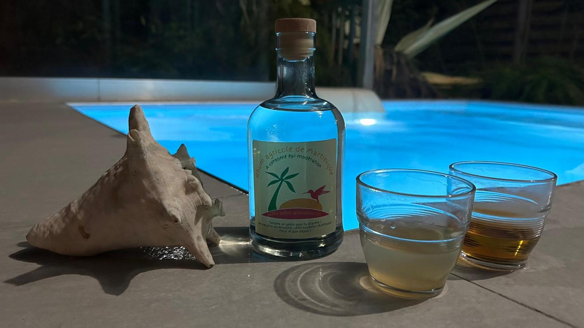 La Villa Jalna Grenadine Deux Chambres Et Piscine Privee Les Trois-Ilets Extérieur photo